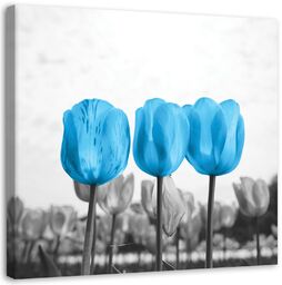 Obraz, Niebieskie tulipany na łące 30x30
