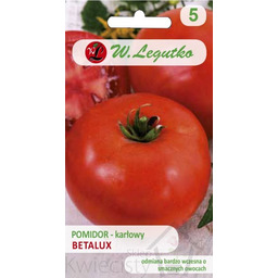 Pomidor gruntowy karłowy sztywnołodygowy Betalux - b. wczesna