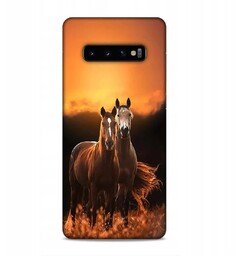 Etui Do SAMSUNG GALAXY S10 Plus Wzory Różne
