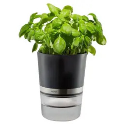 Gefu Botanico G18920 Doniczka na zioła