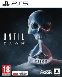 Gra PS5 Until Dawn