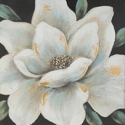 EUROFIRANY Obraz Magnolia 583 60 x 60 cm