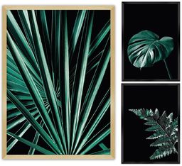 Zestaw obrazów Botanica 3szt., 70x100cm/ 40x50cm