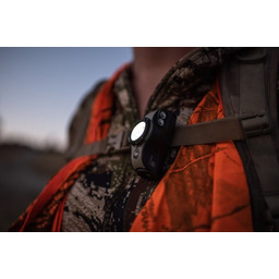 Ledlenser Latarka MH 8 Black-Black