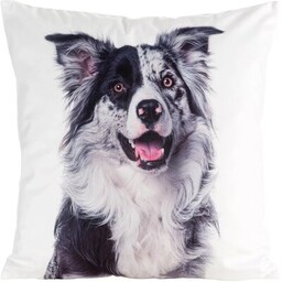 EUROFIRANY Poszewka Animal 77 45 x 45 cm