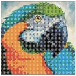 Mozaika diamentowa 5D KIT 20x20cm CENTRUM papuga 89624