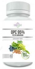 Pestki winogron ekstrakt 95% OPC 450mg 60 kapsułek