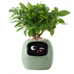 Inteligentna doniczka Ivy Smart Planter osłonka na donicę