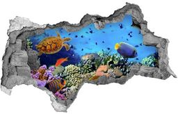 Dziura 3d fototapeta naklejka Rafa koralowa