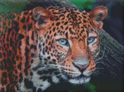 Diamentowa mozaika - Dziki wygląd 30x40cm - Ideyka