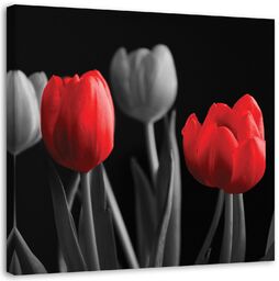 Obraz na płótnie, Czerwone tulipany 30x30