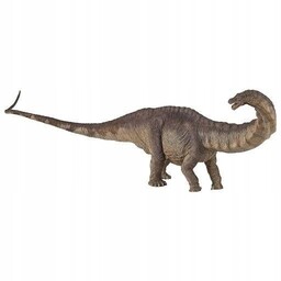 Apatozaur, Papo