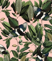 Tapeta Magpie Pink Wallcolors