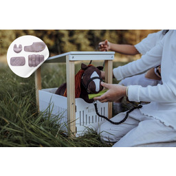 Kolekcja Minis Astrup Stajnia marzeń 4w1 Pixi fiolet