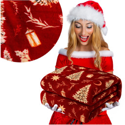 Koc 160 x 200 Mikrofibra Świąteczna Donato 14