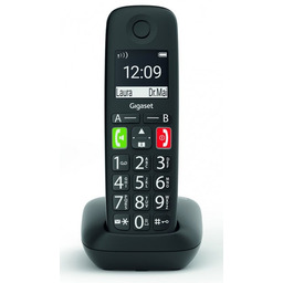Gigaset E290