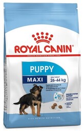 ROYAL CANIN Karma dla psa SHN Maxi Puppy