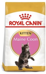 ROYAL CANIN Maine Coon Kitten 10kg