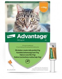 ELANCO Advantage Krople na pchły Małe koty 4