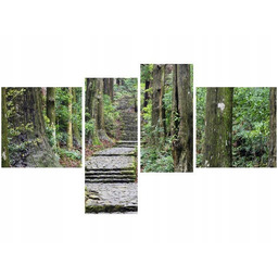 Obraz Japońska ścieżka przez las