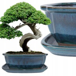 Donica Do Bonsai Z Podstawką Ceramiczna Szkliwiona Turkusowa