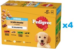PEDIGREE Junior Wybór Smaków z ryżem saszetki 48x100