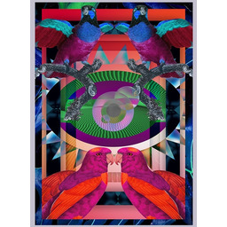 Pakamera Plakat Desert eye volt2