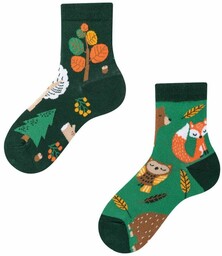 Todo Socks Forest Animals Kids,, Leśne zwierzaki, Kolorowe