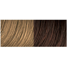 Aveda Full spectrum permanent pure tone hair color