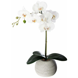 Atmosphera Sztuczny storczyk w doniczce ceramicznej, 50 cm