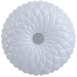 Plafon LED okrągły biały 27cm PLF-53749-S-CL z serii