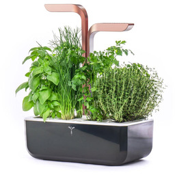 Veritable Inteligentna doniczka (czarno-miedziana) Smart