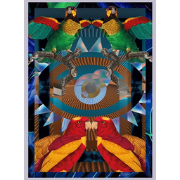 Pakamera Plakat Desert eye