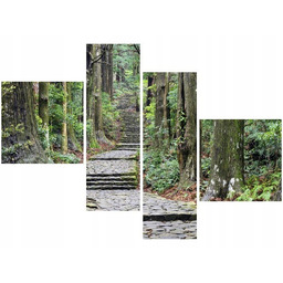 Obraz Japońska ścieżka przez las