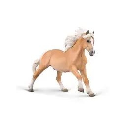 Ogier Halflinger - Collecta