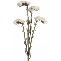 EUROFIRANY Kwiat dekoracyjny Natu 378 Kremowy