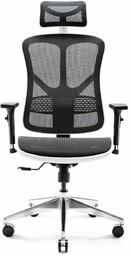 Fotel ergonomiczny Diablo V-Basic: biało-czarny