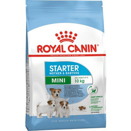 ROYAL CANIN Karma dla psa Mini Starter Mother