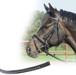 Busse Ogłowie STAR - silver point