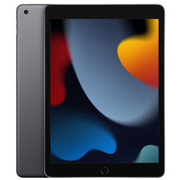 Apple iPad 10.2 Wi-Fi 256GB Space Gray