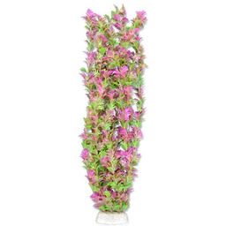 Happet Roślina Do Akwarium Folia 65Cm / 6F38