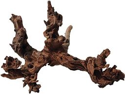 Amtra Mystic Wood, 30-40 cm