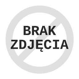 Dyktafon cyfrowy SONY ICDTX660.CE7