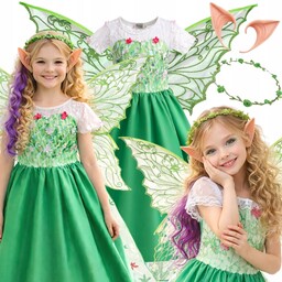 Strój Pani Wiosna Dzień Wiosny Sukienka Skrzydła Motyla