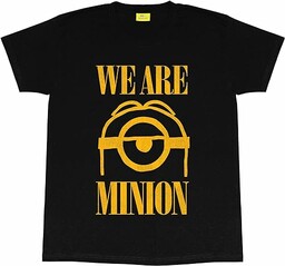 Minions We are Minion damski chłopak dopasowany T-shirt