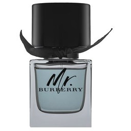 Burberry Mr. Burberry woda toaletowa dla mężczyzn 50