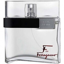 Salvatore Ferragamo F by Ferragamo Pour Homme 100ml