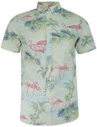 Koszula Bawełniana Zielona we Flamingi, Casualowa z Krótkim