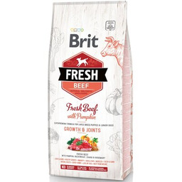 Brit Fresh Beef Pumpkin Puppy Large Growth Joints