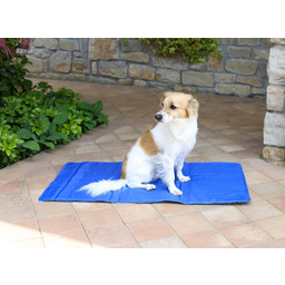 Sogni e Capricci Pets, Mata chłodząca, niebieska, 50